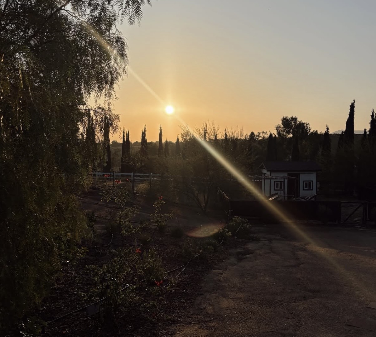 Sunset over Divine Yoga Properties — Temecula Wine Country
